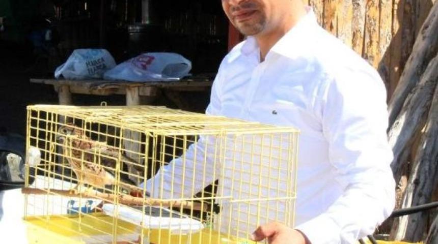 Evde Beslediği Kerkenezi Doğaya Salınması I&ccedil;in 550 Kilometre Yol Yapıp Burdur'a Getirdi