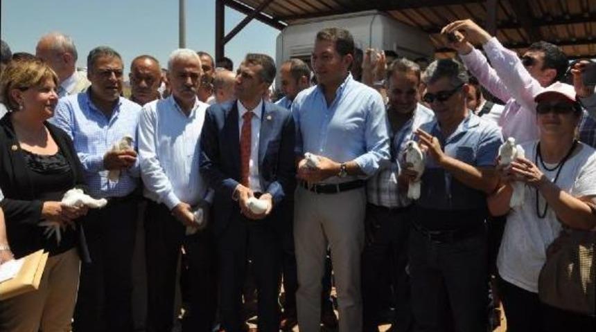 Chp'li Milletvekilleri Suriye Sınırında Barış G&uuml;vercini U&ccedil;urdu