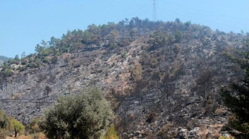 Mersin'de 100 Hektar Ormanlık Alan Yandı