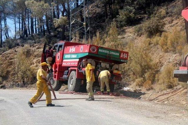 Mersin'de 100 Hektar Ormanlık Alan Yandı