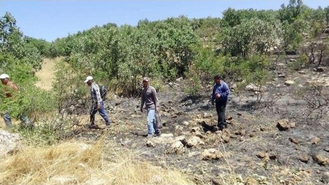 Kulp&rsquo;taki Yangının B&uuml;y&uuml;kl&uuml;ğ&uuml; G&uuml;n Ağarınca Ortaya &Ccedil;ıktı