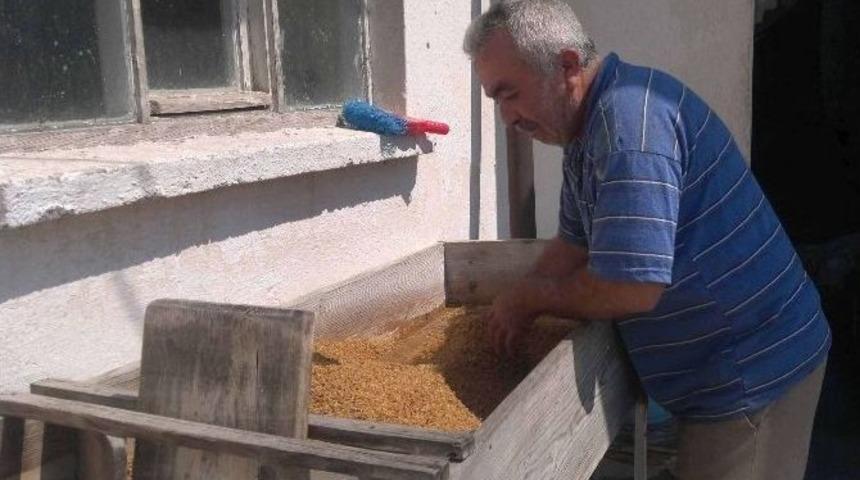 Bulgurluk Buğday Tavlama Sanatı