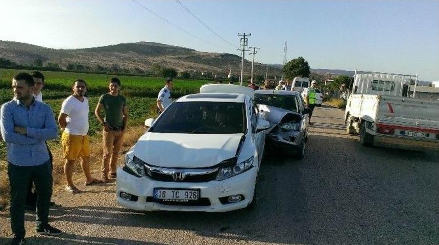 Atlar Zincirleme Kazaya Sebep Oldu