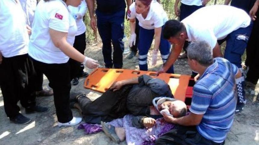 Kestiği Ağacın Altında Kaldı