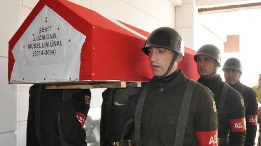 Şehit Jandarma Onbaşının Cenazesi Adıyaman'a Getirildi