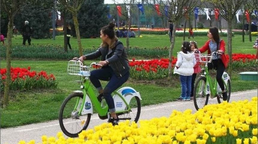 Akıllı Bisikletler 200 Bin Sefer Yaptı