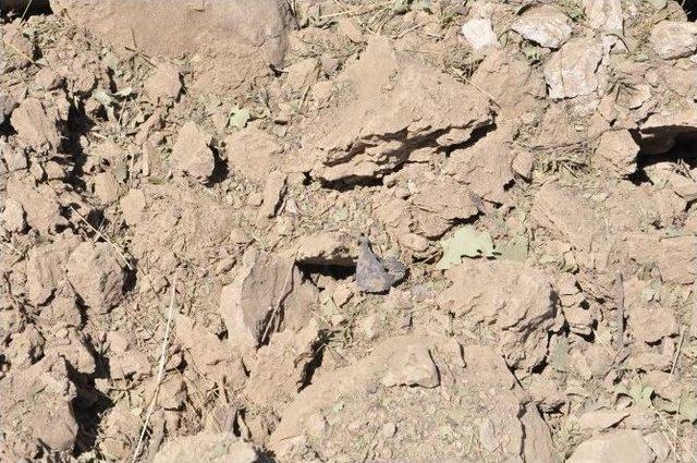 Tunceli’de Yol Kenarına Döşenen 120 Kiloluk Bomba İmha Edildi