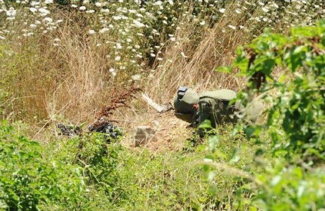 Etiler'de Ağaçlık Alana Gömülen Köpek, Polisi Alarma Geçirdi