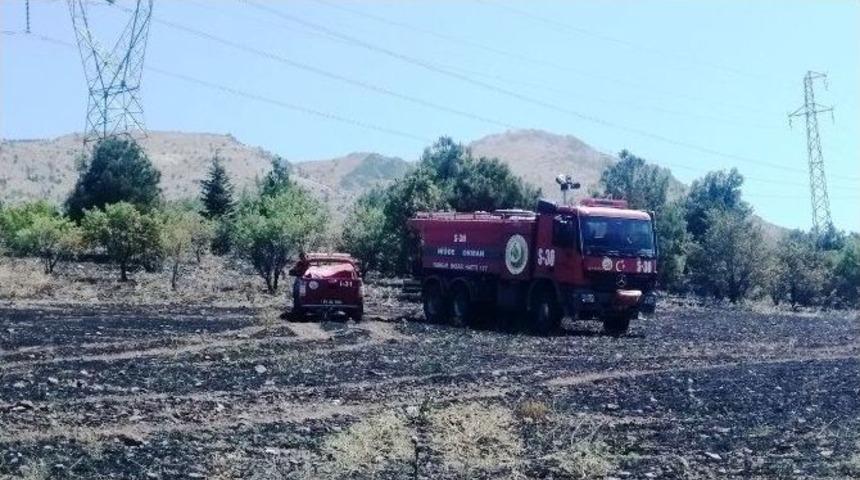 Elektrik Akımına Kapılan Karga Yangına Neden Oldu