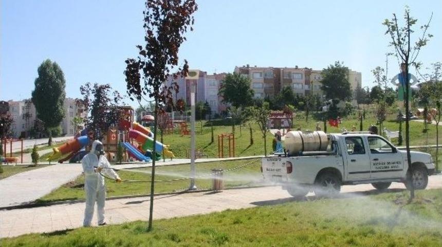 Boz&uuml;y&uuml;k&rsquo;te Haşere M&uuml;cadelesi Kene İla&ccedil;laması İle S&uuml;r&uuml;yor