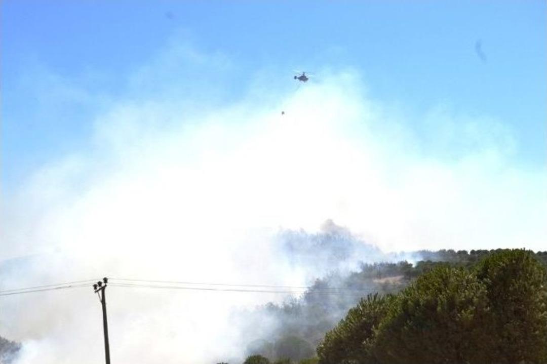 Ayvalık&rsquo;ta &Ccedil;&ouml;pl&uuml;kte &Ccedil;ıkan Yangın Ormana Sı&ccedil;radı