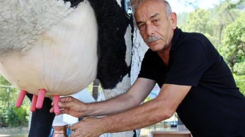 Parayla S&uuml;t Ve Ayran Veren Inek Otomatı