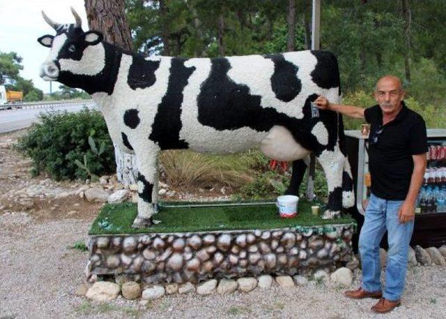 Parayla Süt Ve Ayran Veren Inek Otomatı