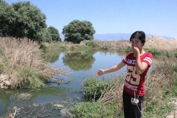 Açıkta Akan Lağım Suyu Sağlığı Tehdit Ediyor G2