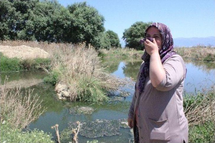 Açıkta Akan Lağım Suyu Sağlığı Tehdit Ediyor G4