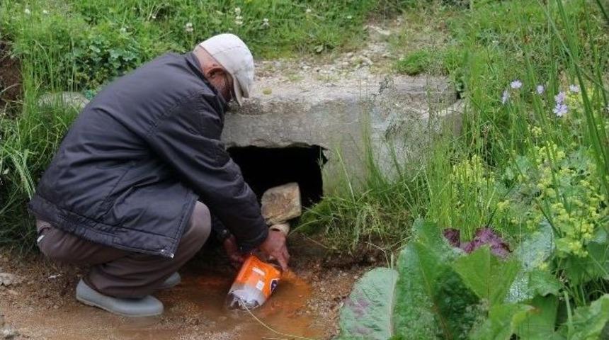 Giresun&rsquo;un Tamdere K&ouml;y&uuml;ndeki Acısu Şifa Arayan Hastaların Uğrak Yeri