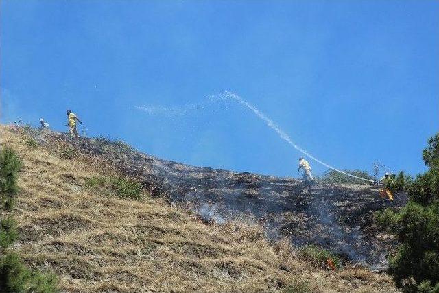 Salihli’de Ot Yangını Ormana Sıçramadan Söndürüldü