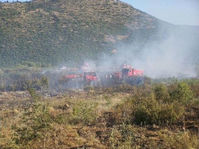 Beyşehir’de Çıkan Orman Yangını Söndürüldü