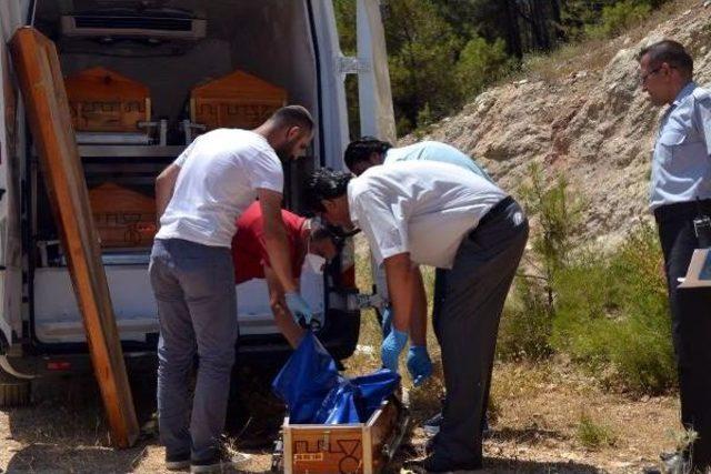 Kahramanmaraş'ta Parçalanmış Erkek Cesedi Bulundu