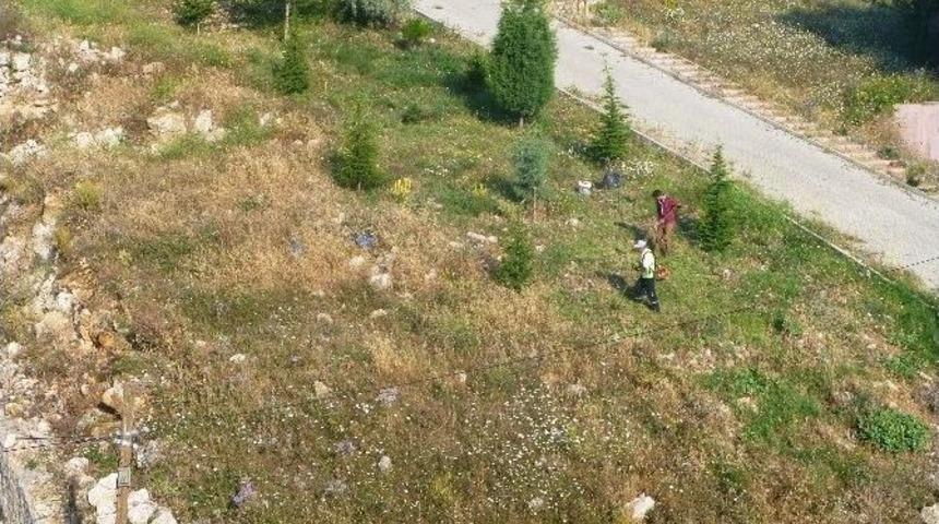 Yangın İhtimaline Karşı Kuru Ot Temizliği