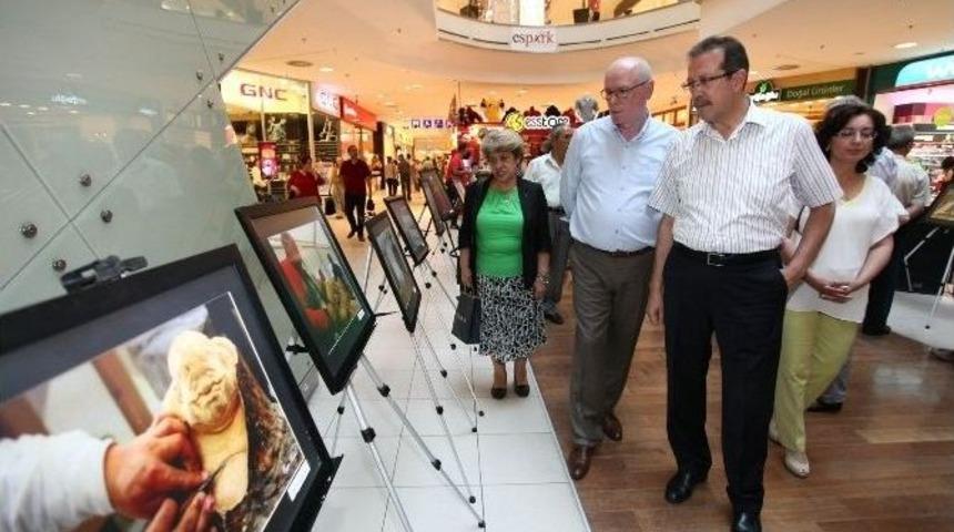 Ağa&ccedil; Heykeller Fotoğraf Sergisi A&ccedil;ıldı