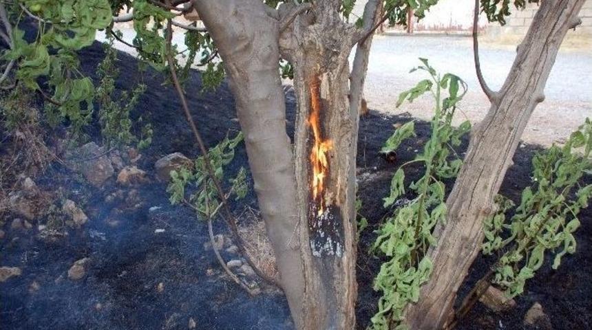 Kullanılmayan İkamet Kundaklandı