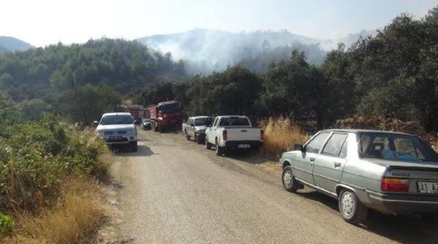 Hatay'da 20 Hektar Ormanlık Alan Yandı