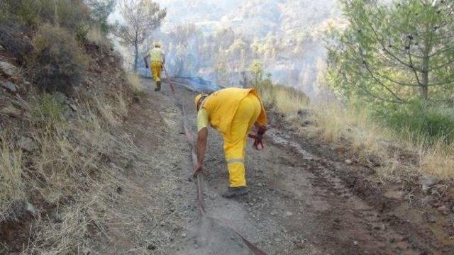 Hatay'da 20 Hektar Ormanlık Alan Yandı