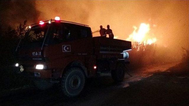 Balıkesir’de Sazlık Yangını