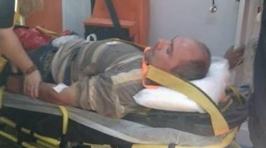 Kestiği Ağacın Altında Kaldı, Ağır Yaralandı