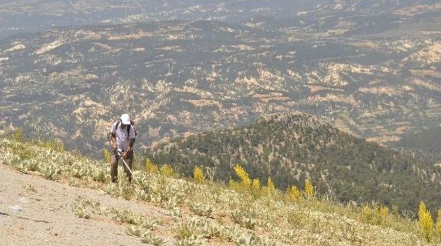 Yama&ccedil; Paraş&uuml;t&uuml; Şampiyonası Hazırlıkları S&uuml;r&uuml;yor