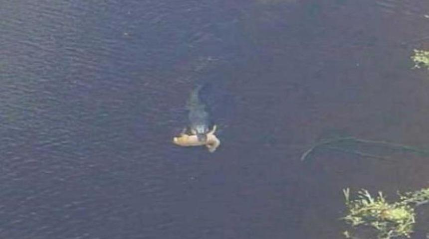 Şaşkına &ccedil;eviren 20 ger&ccedil;ek fotoğraf