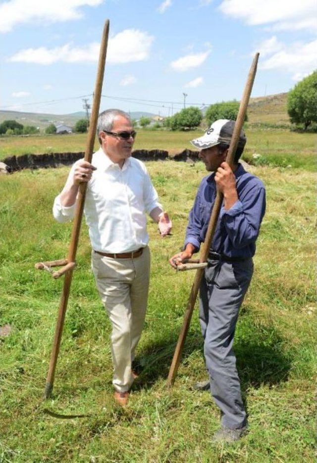 Ardahan Valisi Deniz, Çiftçilerle Tırpan Salladı