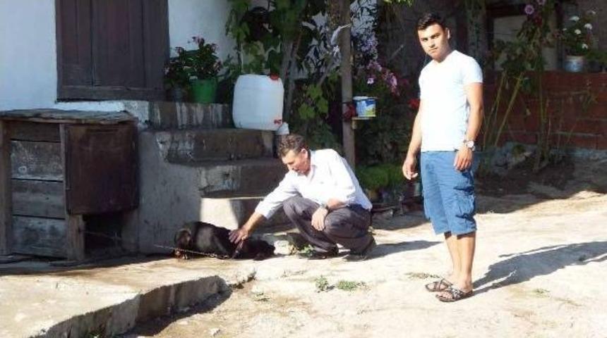 K&ouml;peğini Vuran K&ouml;y Imamını Şikayet Edince Işinden Oldu