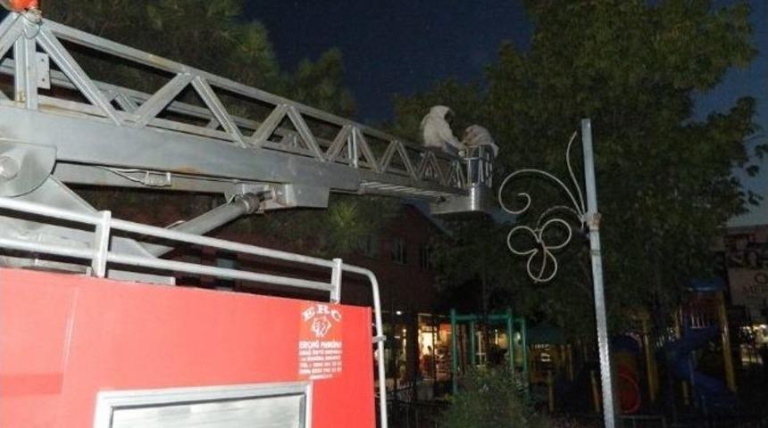 Çocuk Parkında İçinde Arıların Olduğu Kovan Bulundu