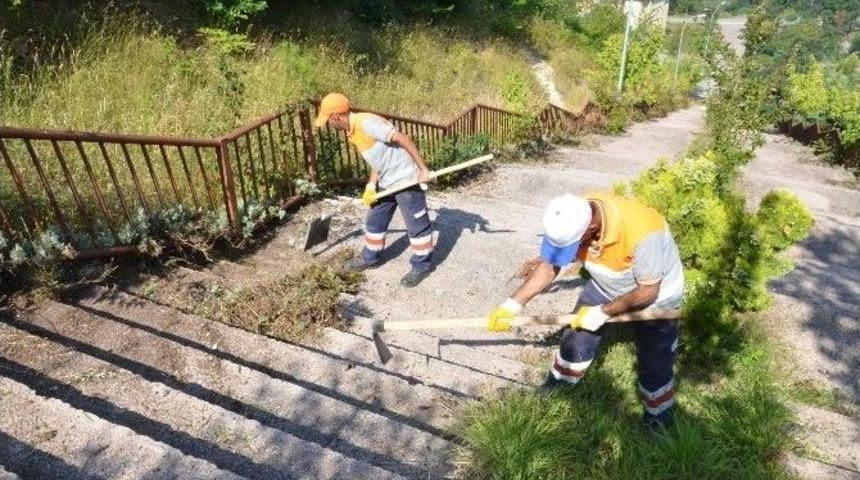D&uuml;zce Belediyesi Kalıcı Konutlarda Mıntıka Temizliği Yapıyor