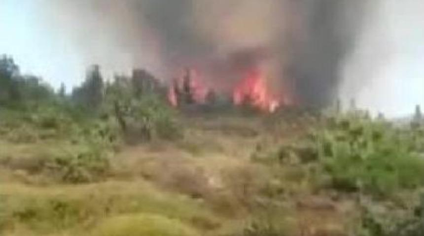 &Ccedil;eşme'de Yazlıkların Yakınında Yangın