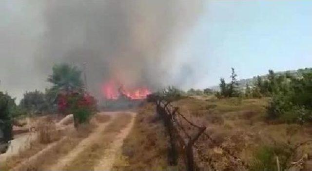 Çeşme'de Yazlıkların Yakınında Yangın