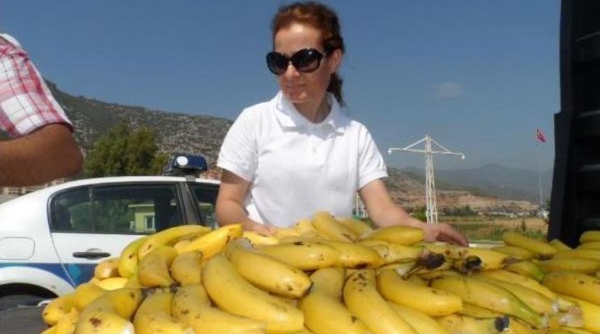 Anamur'da Muz Festivali