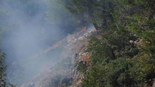 Hatay'da Orman Yangını