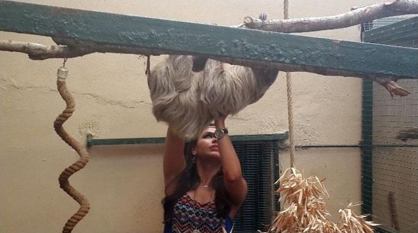 Hayvan Dostu Tuna G&uuml;zelyurt&rsquo;a Tembel Hayvan Saldırdı