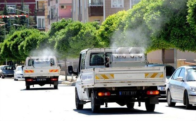 Çorum Belediyesi’nden 3 Koldan Sinekle Mücadele Çalışması