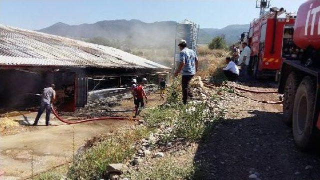 Çorum’Da Tavuk Çiftliği Yandı