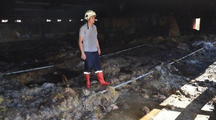 &Ccedil;iftlik Yangınında 25 Bin Tavuk Telef Oldu