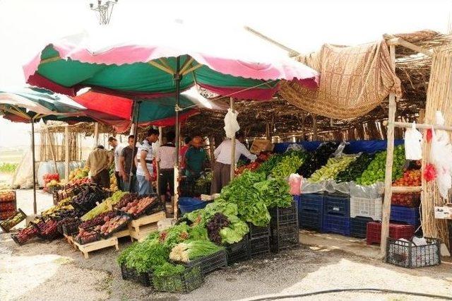 Van Sebzeleri Tezgahlardaki Yerini Almaya Başladı