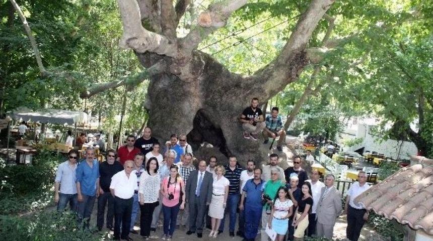 Vali &Ccedil;i&ccedil;ek Basınla Buluştu