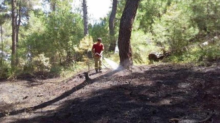 Keşan&rsquo;Da &Ccedil;ıkan Yangında 2 D&ouml;n&uuml;m Ormanlık Arazi Zarar G&ouml;rd&uuml;