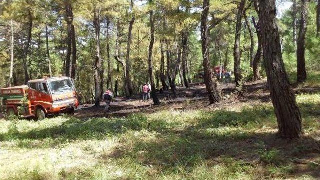 Keşan’Da Çıkan Yangında 2 Dönüm Ormanlık Arazi Zarar Gördü