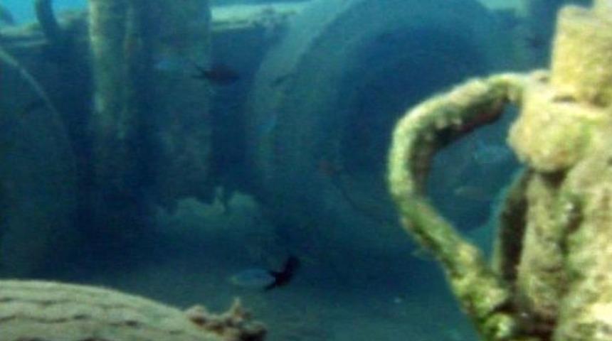 Denizden Bu Da &Ccedil;ıktı