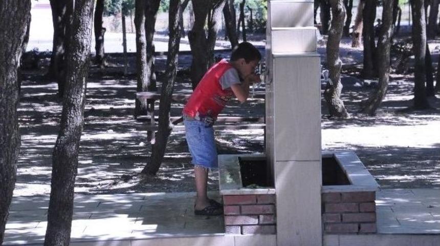 &Ccedil;erkezk&ouml;y Tepe Piknik Alanı Yenilenecek